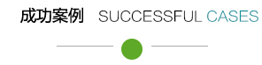 成功案例